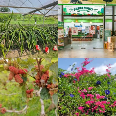 zenxin organic park in kluang